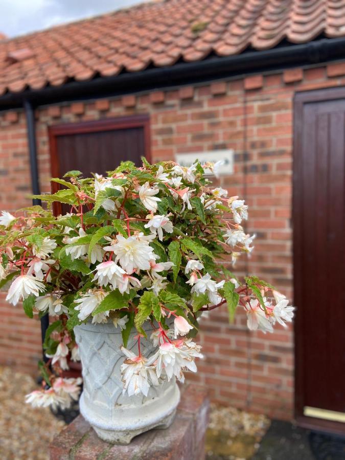 Willow Tree Cottages Newark upon Trent Extérieur photo